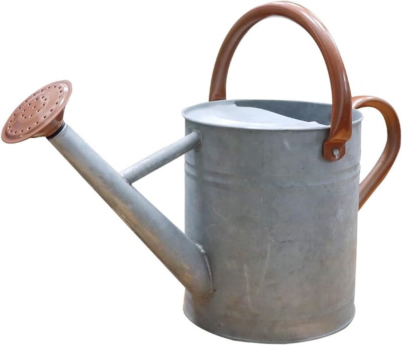yourjoy Metal Watering Can, One Gallon Watering Cans Stainless Steel for Outdoor Indoor Garden Plants Watering (Zinc 1 Gallon) - Image 1